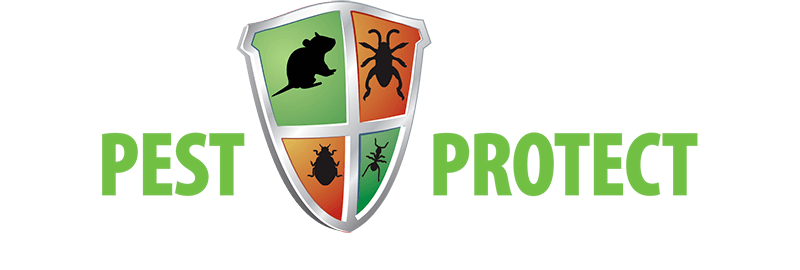 Pest Protect service London with pest control